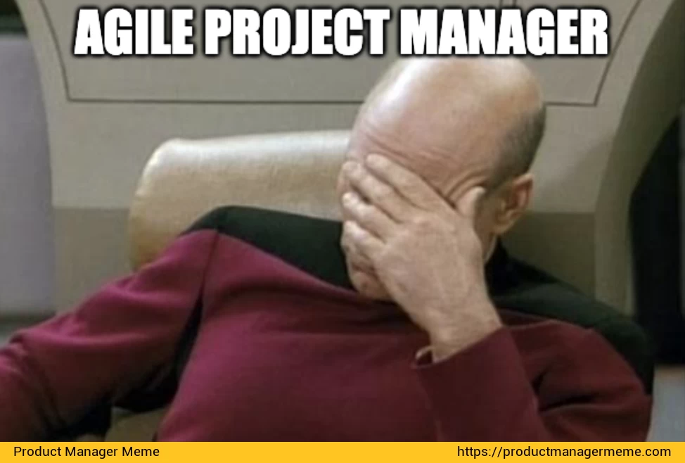 Agile Project Manager. No Words - Product Manager Memes