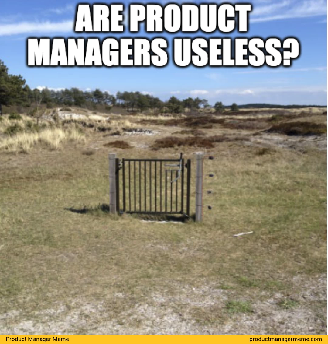 Are Product Managers Useless? - Product Manager Memes