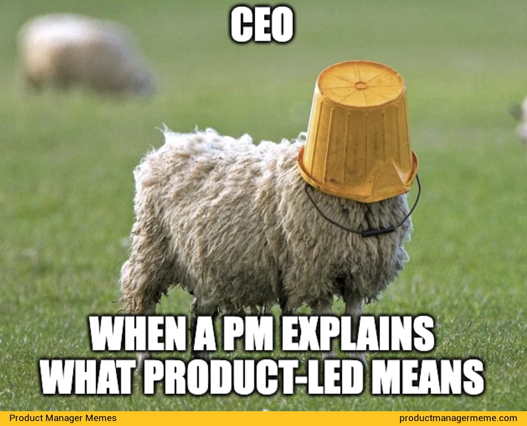 CEO when a PM explains what product-led means - Product Manager Memes