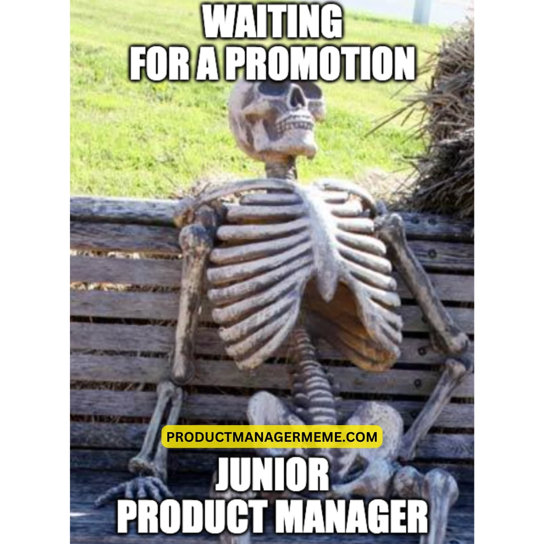 Junior Product Manager - Product Manager Memes