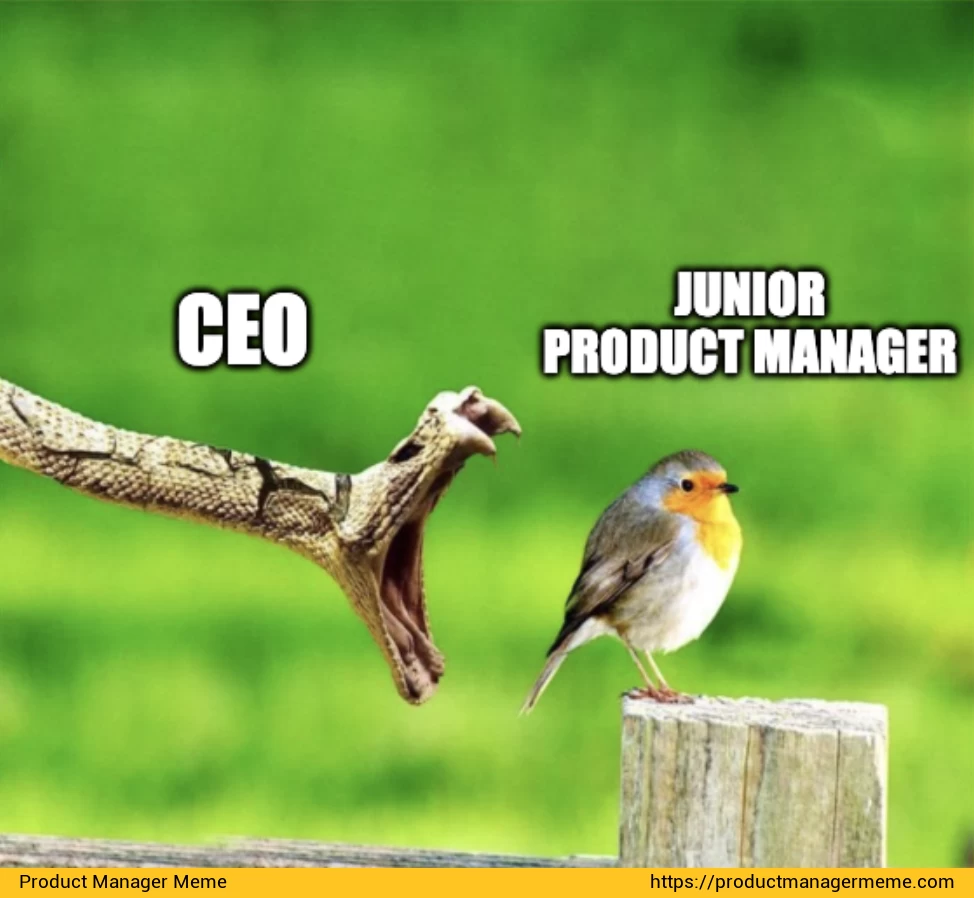 Junior Product Manager & CEO - Product Manager Memes
