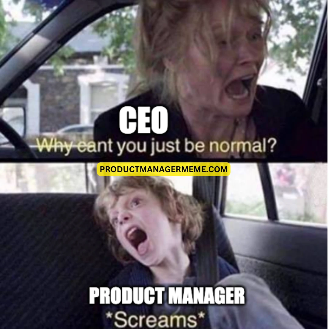 Product Manager & CEO - Product Manager Memes