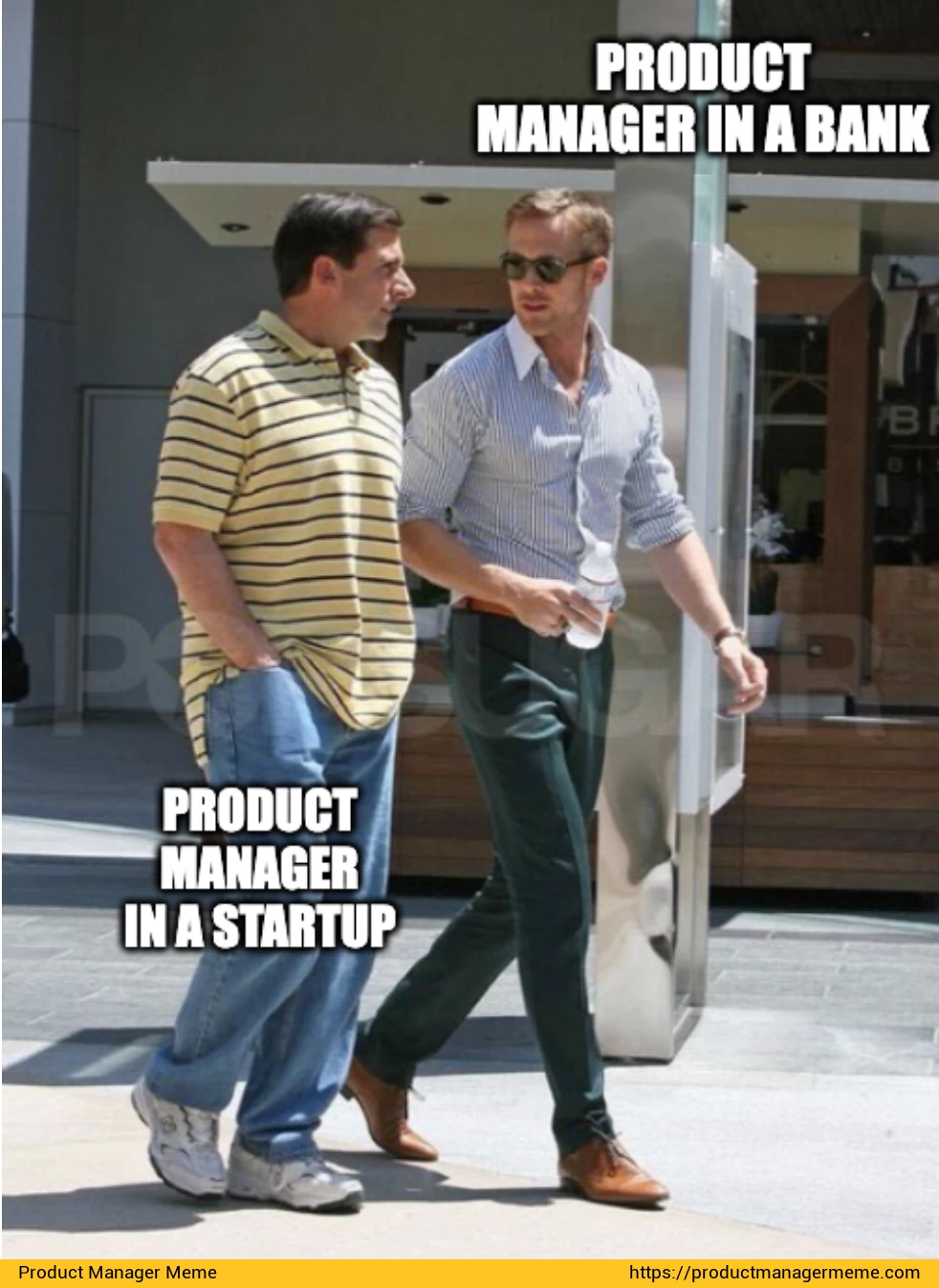 Product Manager in a Bank vs Product Manager in a Startup - Product Manager Memes