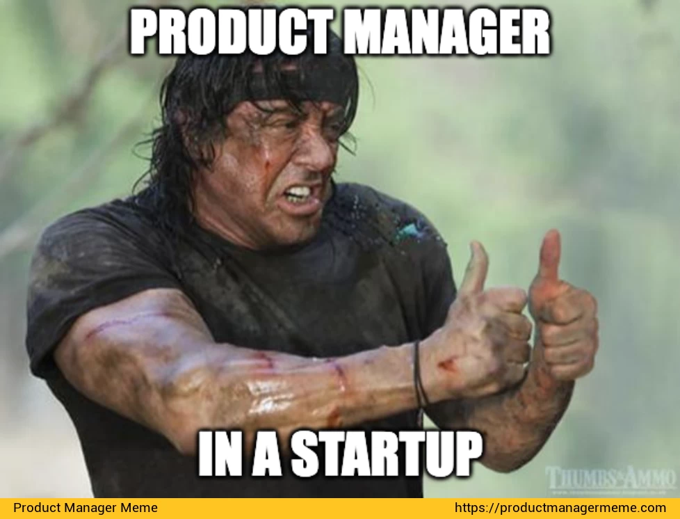 Product Manager in a Startup - Product Manager Memes