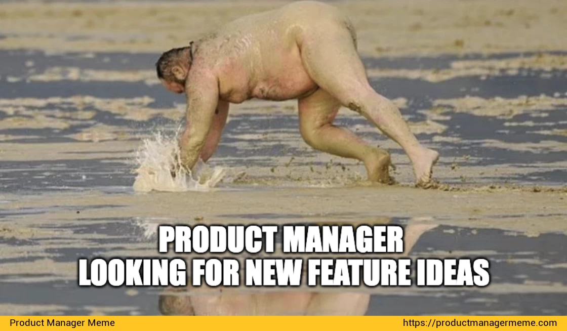 Product Manager Looking for New Feature Ideas - Product Manager Memes