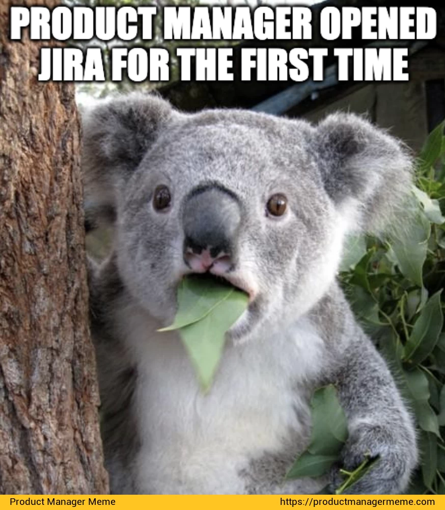 Product manager opened Jira for the first time - Product Manager Memes