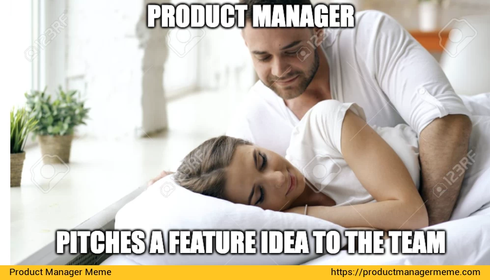 Product Manager pitches a feature idea to the team - Product Manager Memes