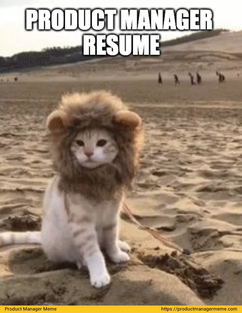 Product Manager Resume - Product Manager Memes