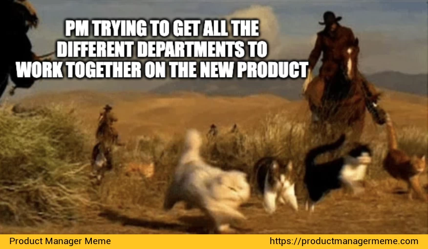Product Manager trying to get all the different departments to work together on the new product - Product Manager Memes