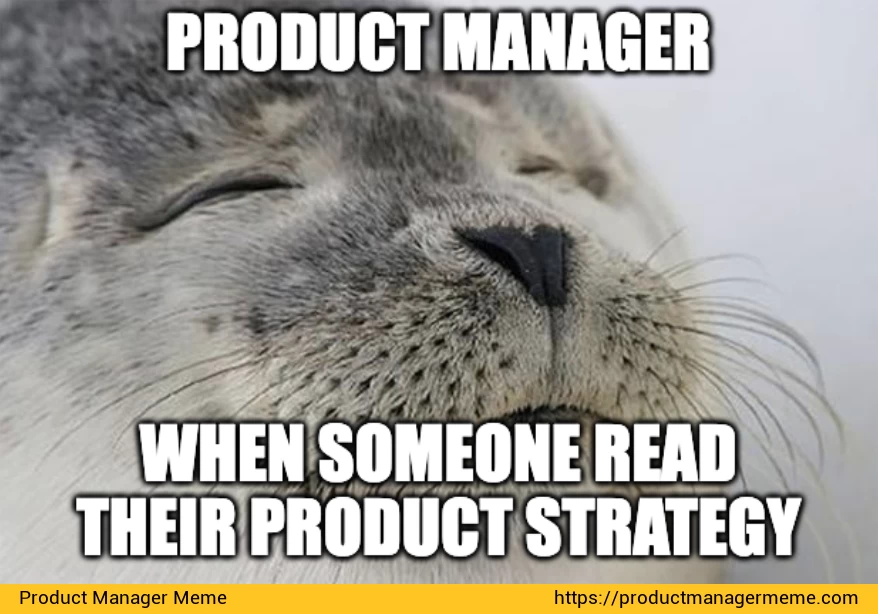 Product Manager when someone read their product strategy - Product Manager Memes
