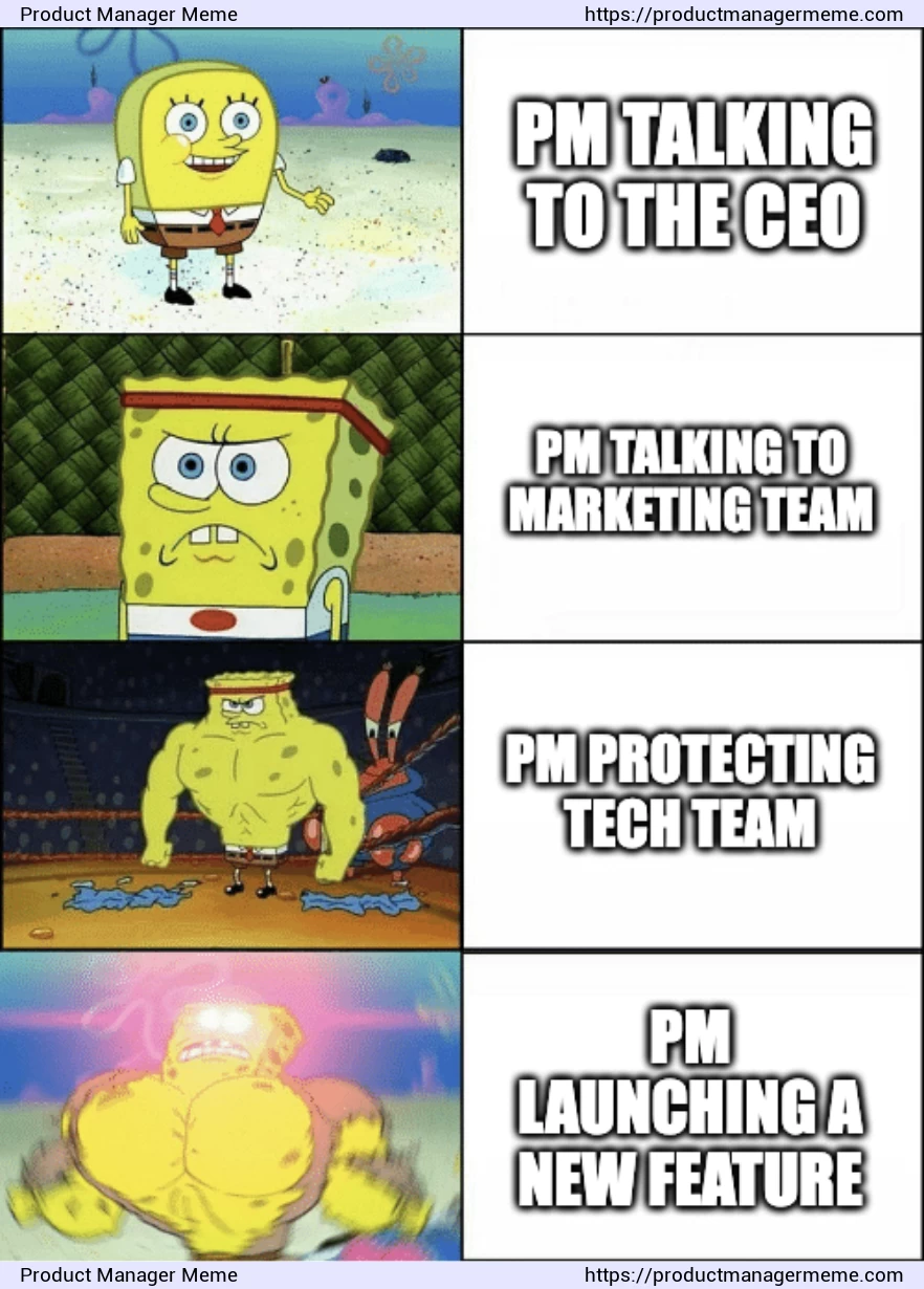Product Manager's personalities - Product Manager Memes