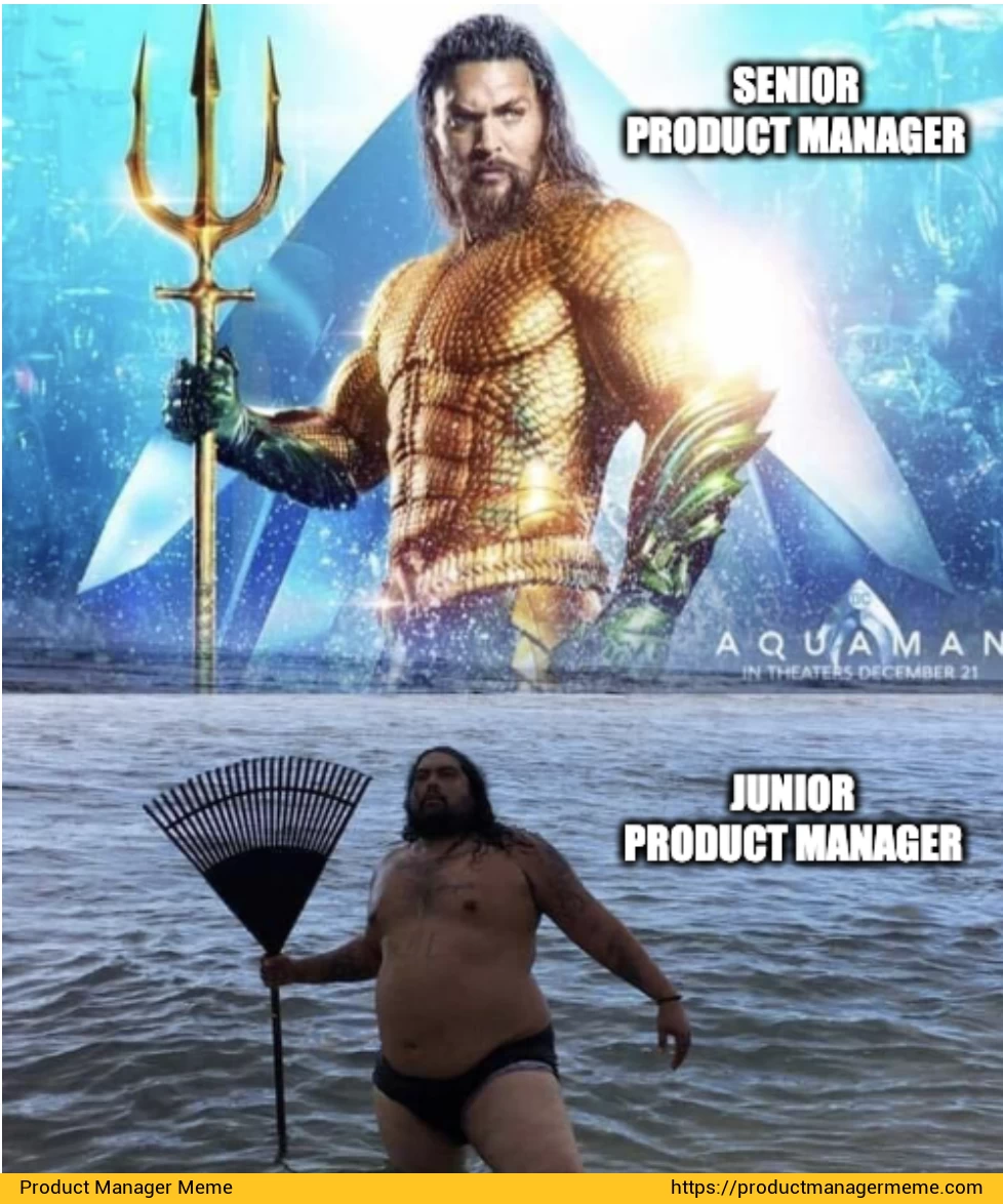 Senior Product Manager vs Junior Product Manager - Product Manager Memes