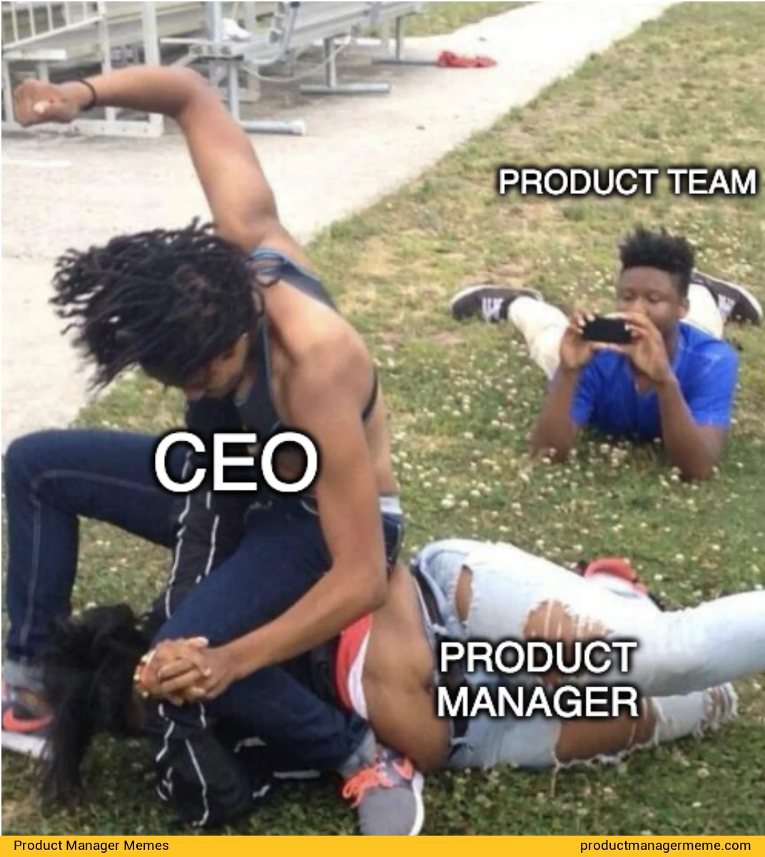 Team Work - Product Manager Memes