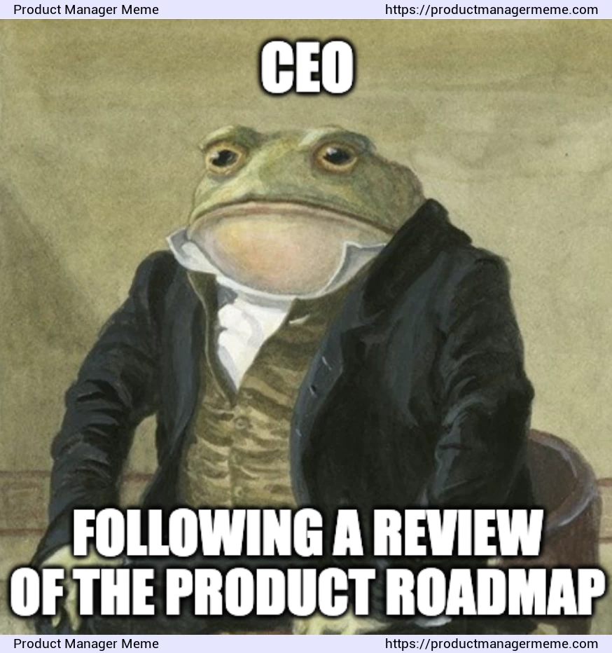 The CEO following a review of the product roadmap - Product Manager Memes