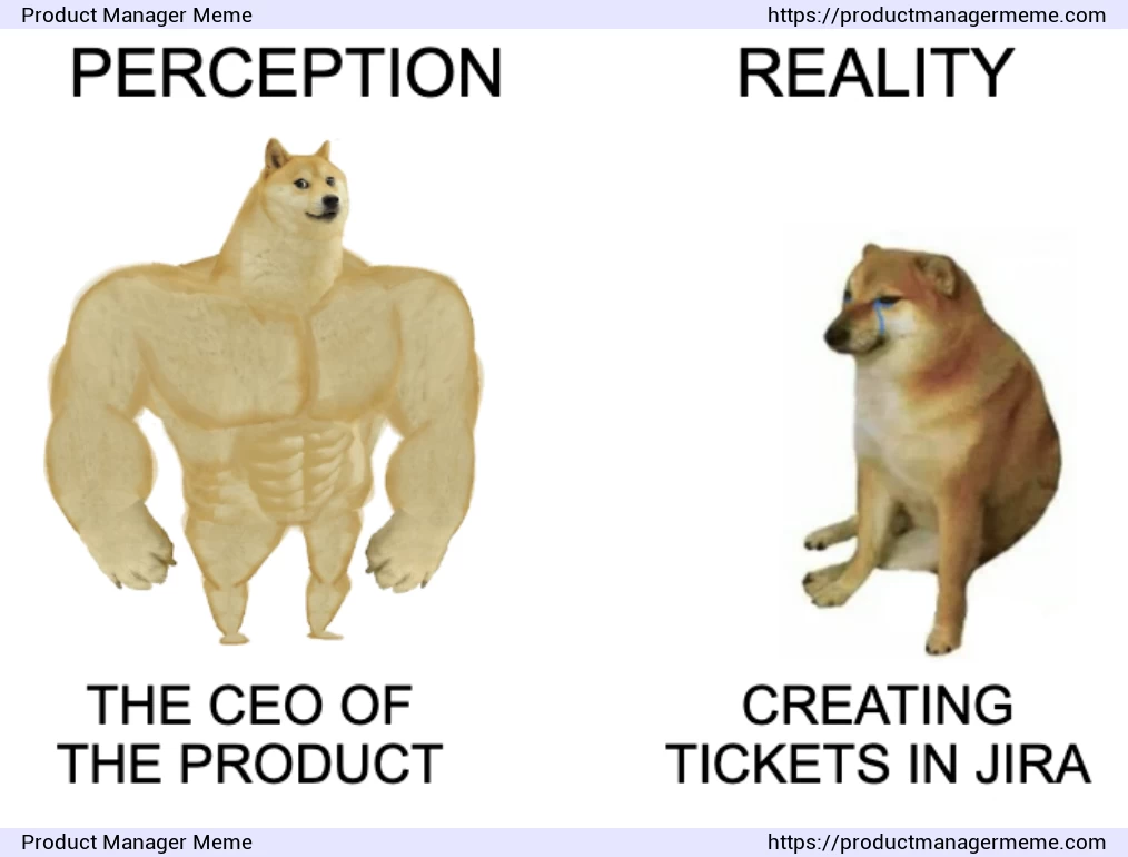 Product Manager is the CEO of the product - Product Manager Memes