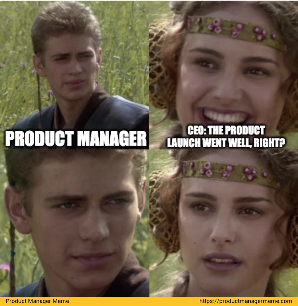 The Product Launch Went Well, Right? - Product Manager Memes