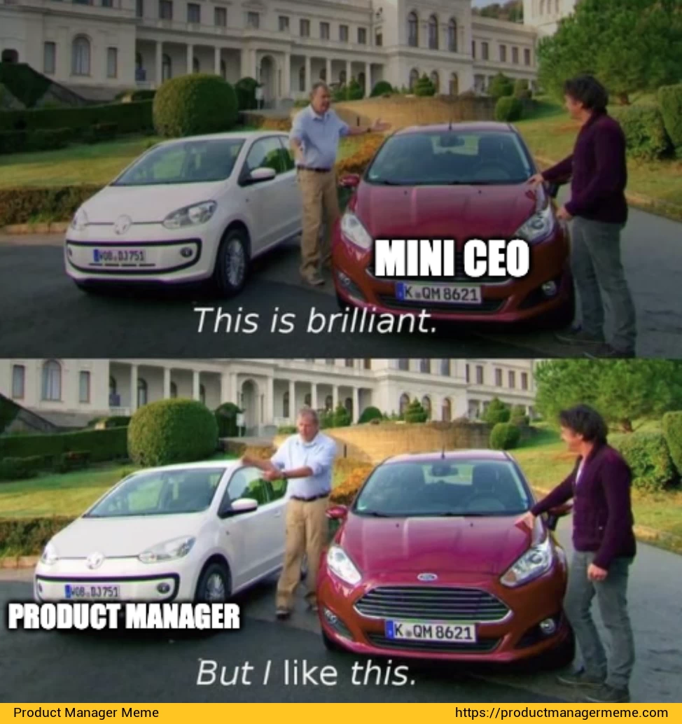 We Are NOT Mini CEOs, We are Product Managers - Product Manager Memes