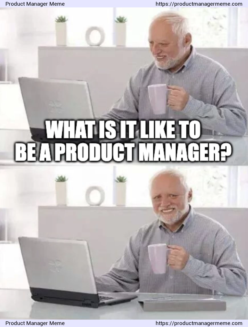 What is it like to be a product manager? - Product Manager Memes