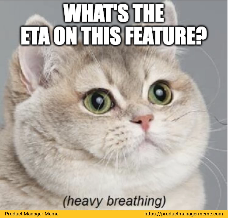 What's the ETA? - Product Manager Memes