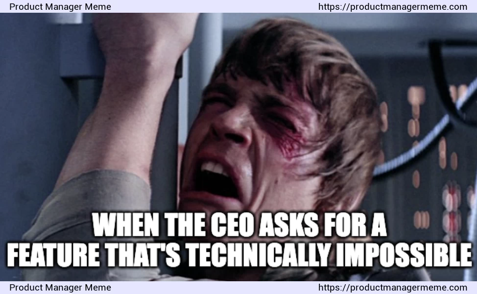 When the CEO asks for a feature that's technically impossible - Product Manager Memes