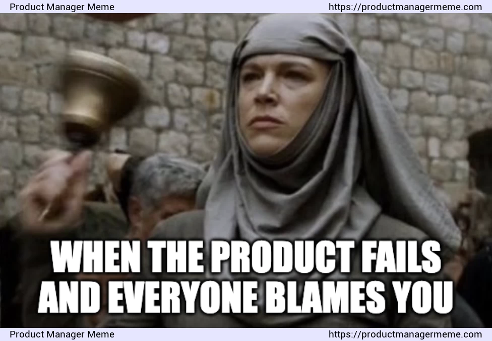 When the product fails and everyone blames you - Product Manager Memes