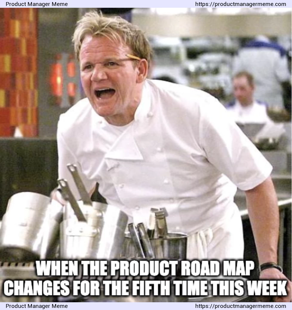 When the product road map changes for the fifth time this week - Product Manager Memes