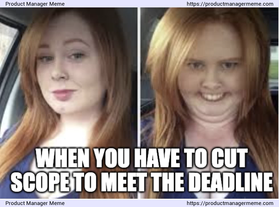 When you have to cut scope to meet the deadline - Product Manager Memes