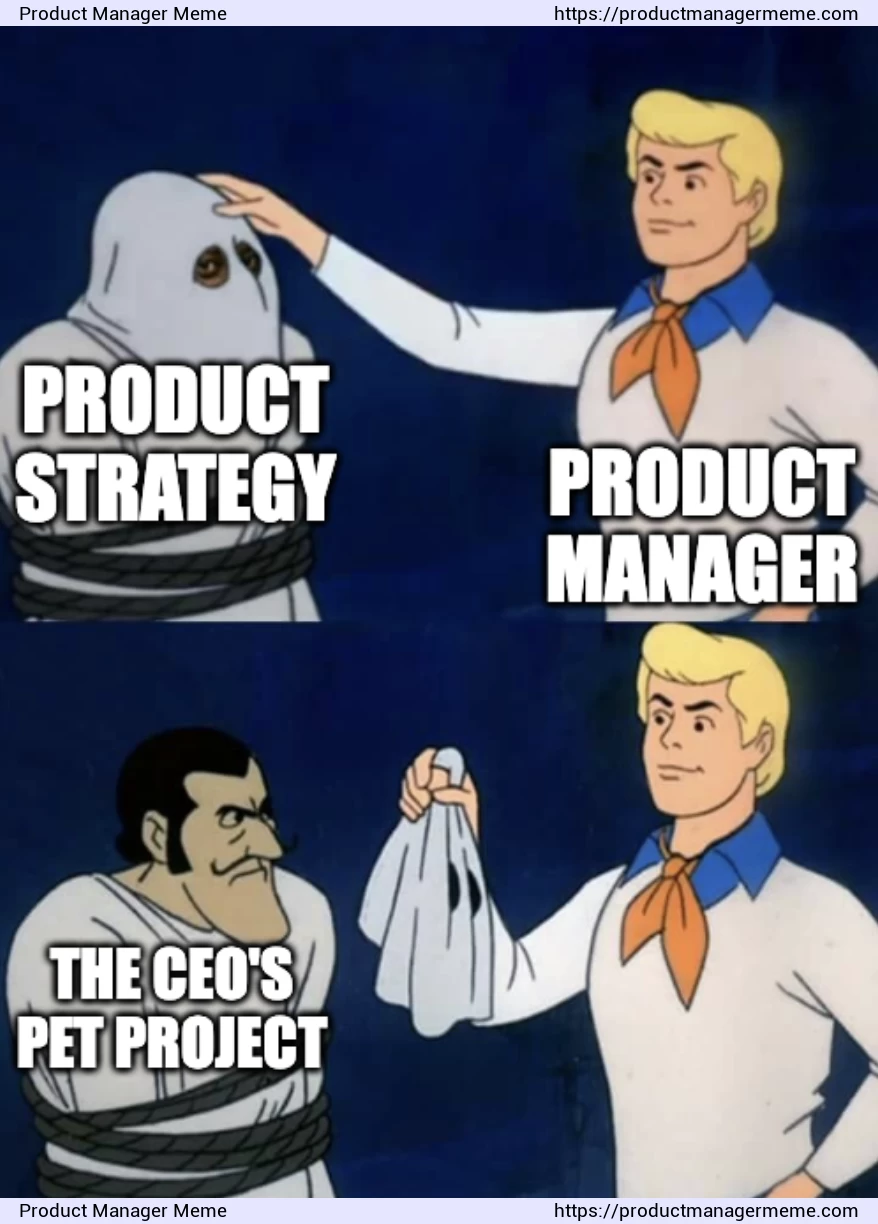 Your product strategy is just the CEO's pet project - Product Manager Memes